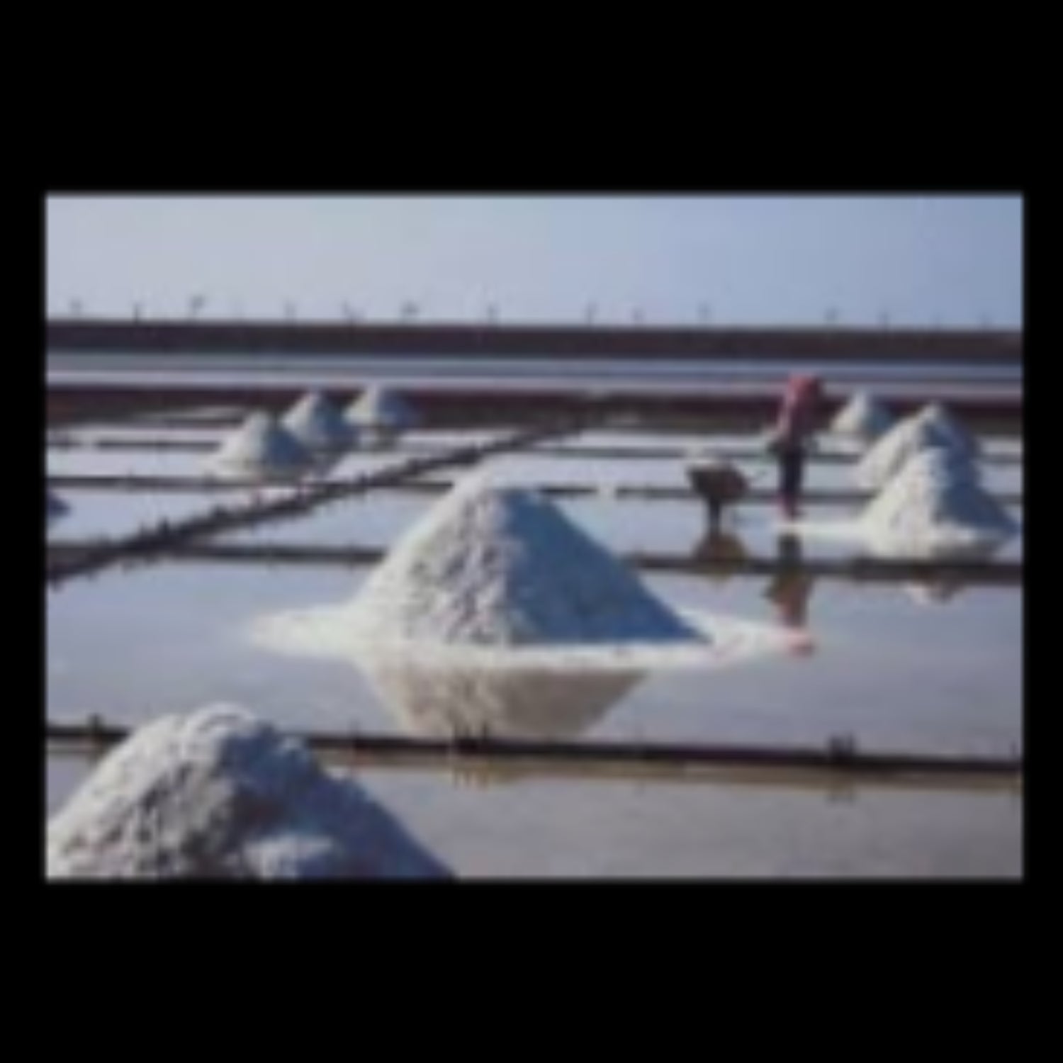 ミネラル塩　海水の素2.2ｋｇ